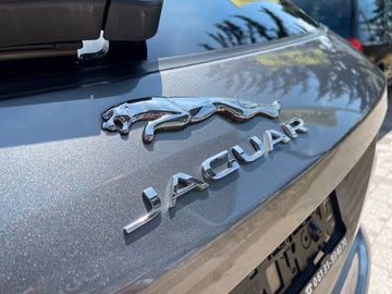 Jaguar F-PACE D300 Portfolio AWD Black Pack ACC Vorschaubild 14