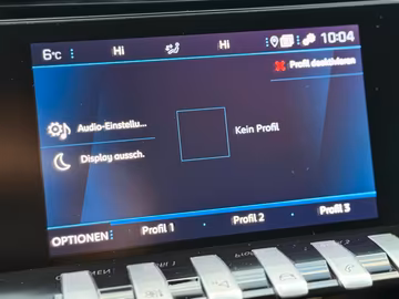 Peugeot 508 Business Line *MATRIX-LED*NAVI*CAM*PDC* Vorschaubild 29