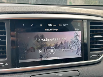 Kia Sportage Business Class NAVI. Kamera. DCT Vorschaubild 14